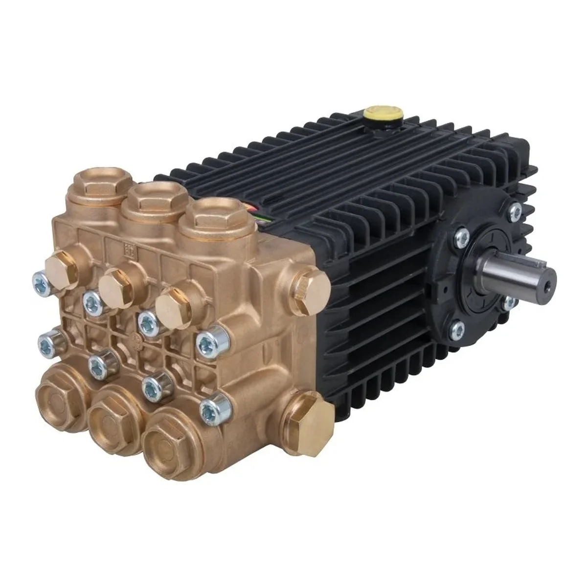 Pompe INTERPUMP 66 LP